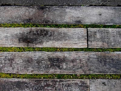 工藤智央建築研究所トップ画像：枕木と芝の庭